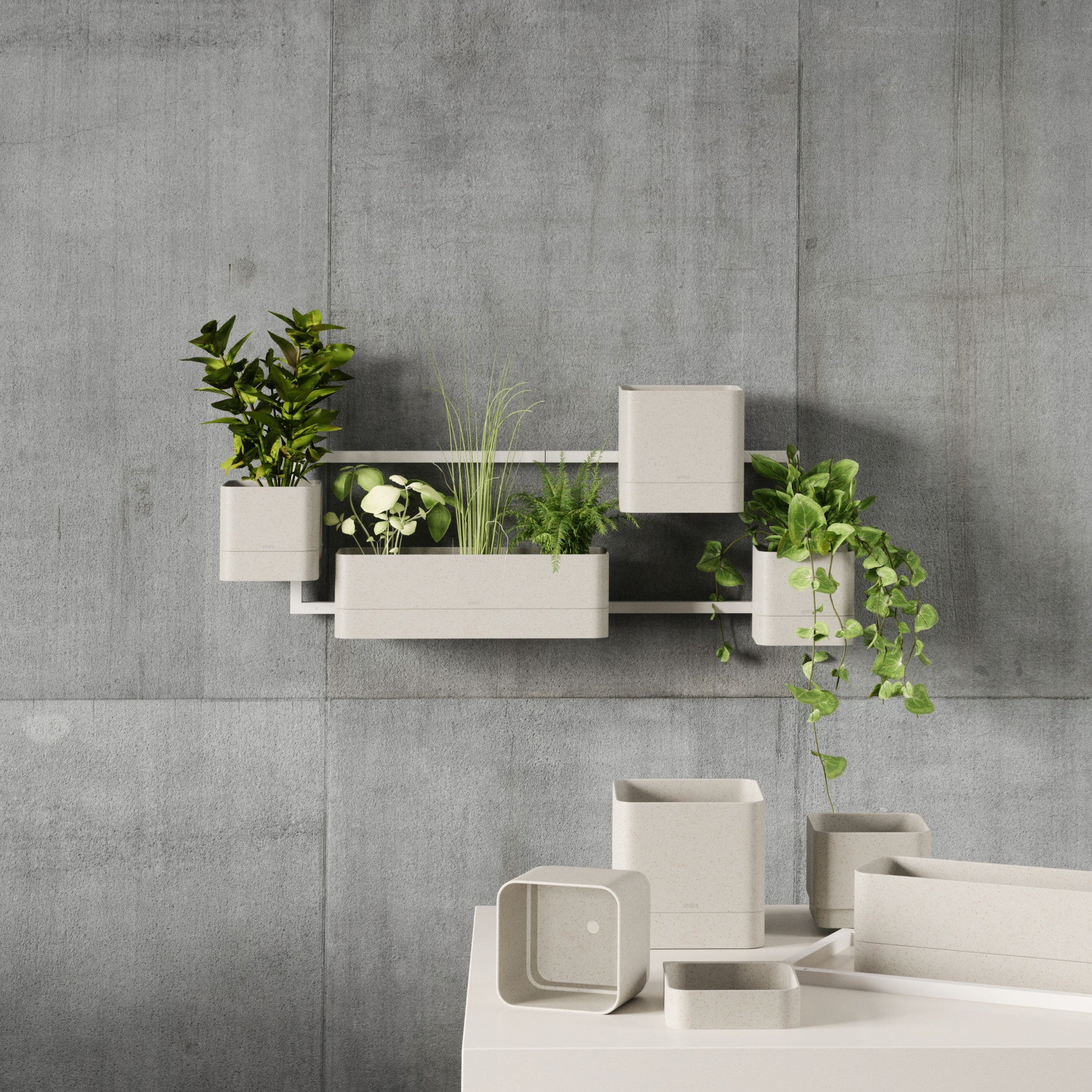 UMBRA Cubiko Wall Planter - Image 10