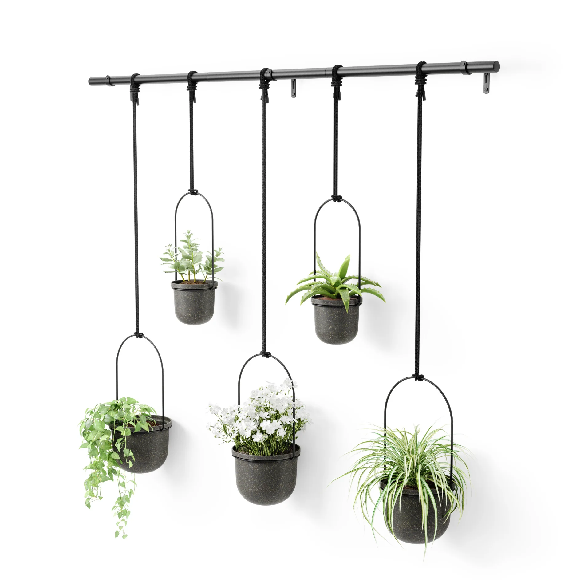 UMBRA Triflora Hanging Planters, Set of 5