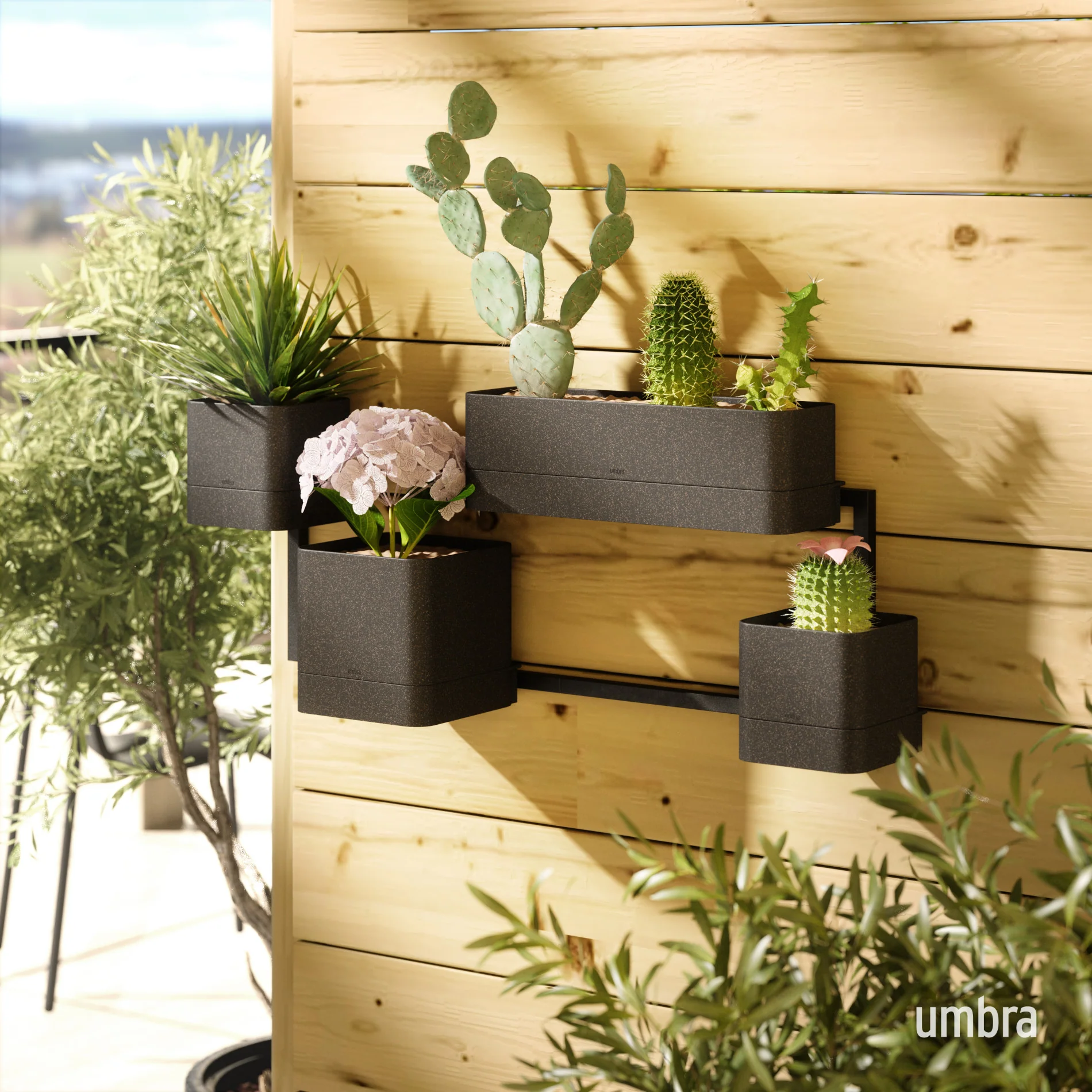 UMBRA Cubiko Wall Planter - Image 4