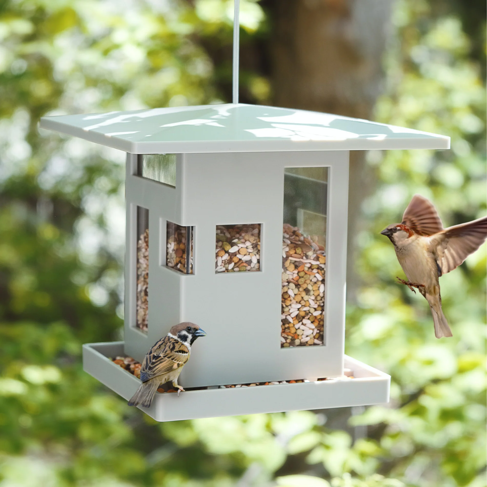 UMBRA Bird Cafe - Image 4