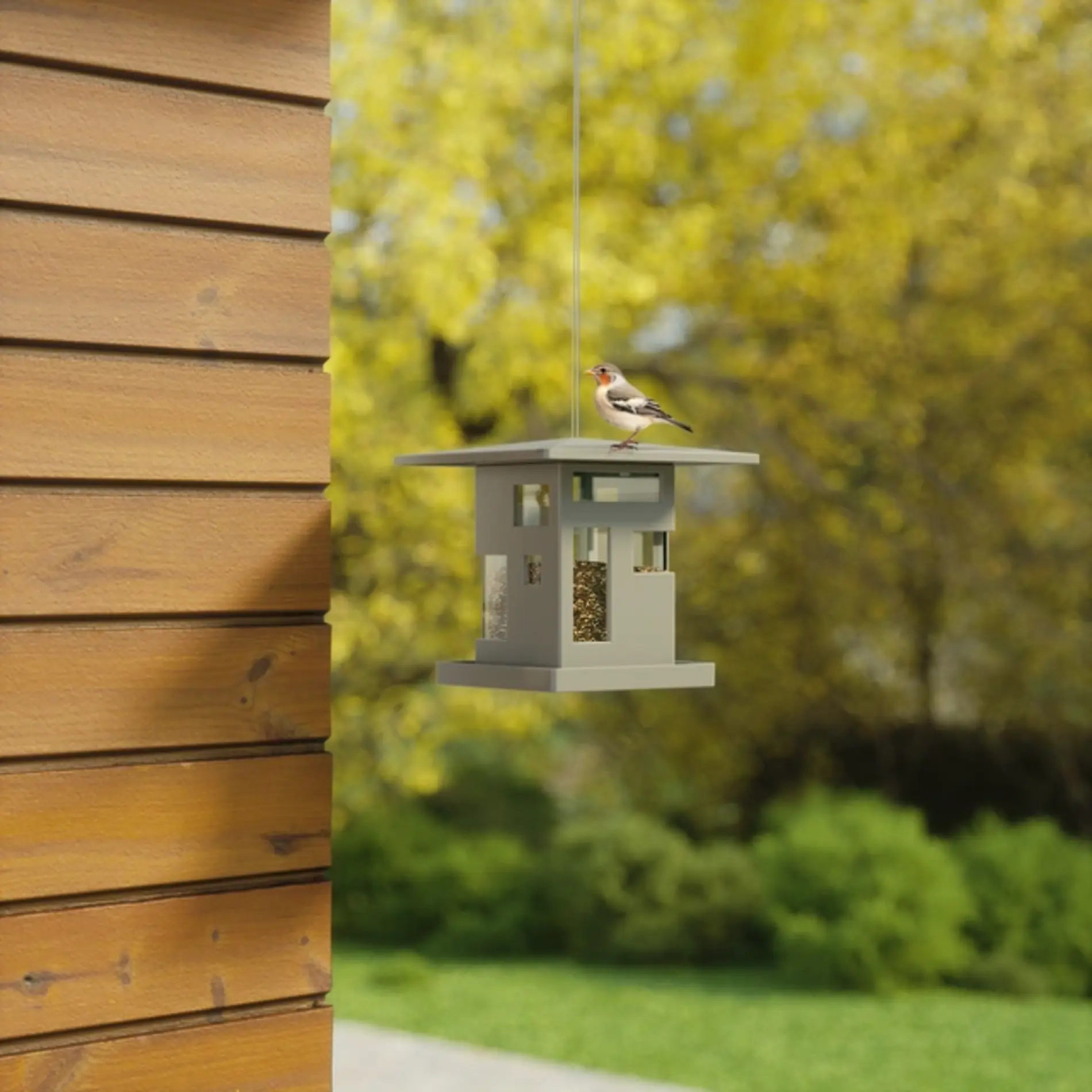 UMBRA Bird Cafe - Image 3